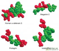 Antimicrobial peptides of multicellular organisms