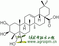 CAS # 465-00-9, Arjunolic acid, 2,3,23-Trihydroxyolean-12-en-28-oic acid