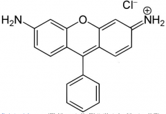 Rhodamine 123荧光显色剂