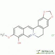 小檗红碱Berberrubine