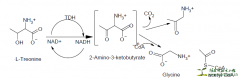 Antifungal assays (Minimum Inhibitory Concentration)生物自显