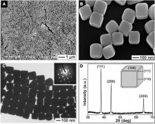 Shape-Controlled Synthesis of Gold and Silver Nanoparticles