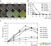 Effects of Streptomyces sp. HU2014 inoculation on wheat