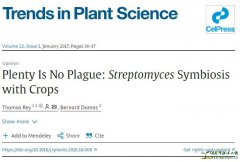 Plenty Is No Plague: Streptomyces Symbiosis with Crops
