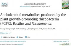 Antimicrobial metabolites produced by the plant growth-promo