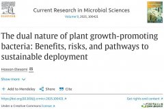 The dual nature of plant growth-promoting bacteria: Benefits