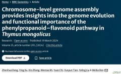 Chromosome-level genome assembly provides insights into the