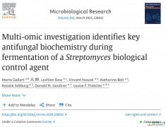 Multi-omic investigation identifies key antifungal biochemis